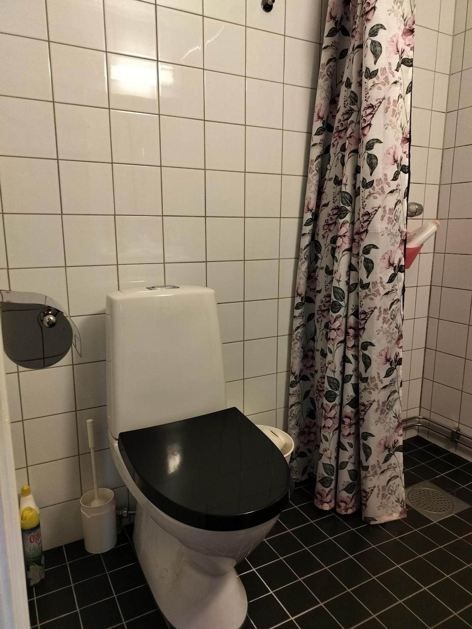 Pilane * Langekarr