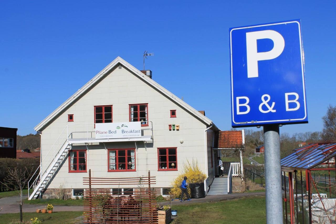 Pilane